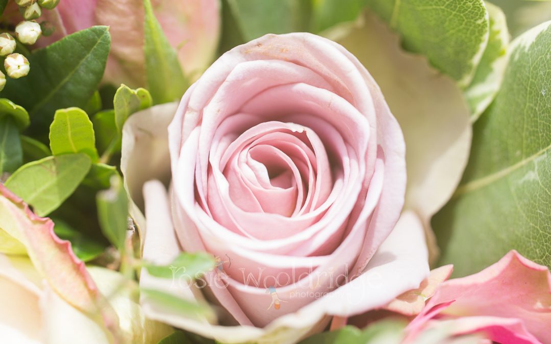 Hayley and Malcolm’s wedding at Dome in Worthing