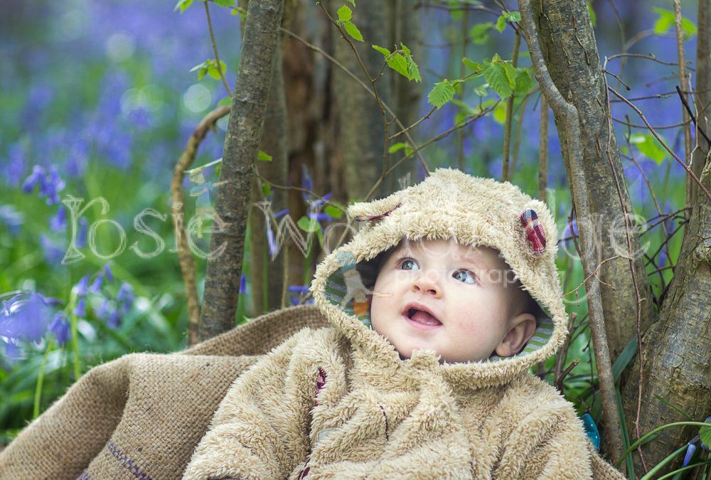 Bluebell Shoot at Ditchling, East Sussex