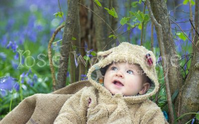 Bluebell Shoot at Ditchling, East Sussex