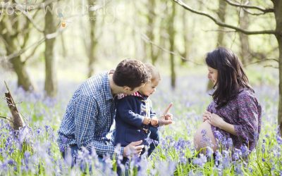 Pregnancy and Portrait shoot in the bluebells Ditchling, East Sussex