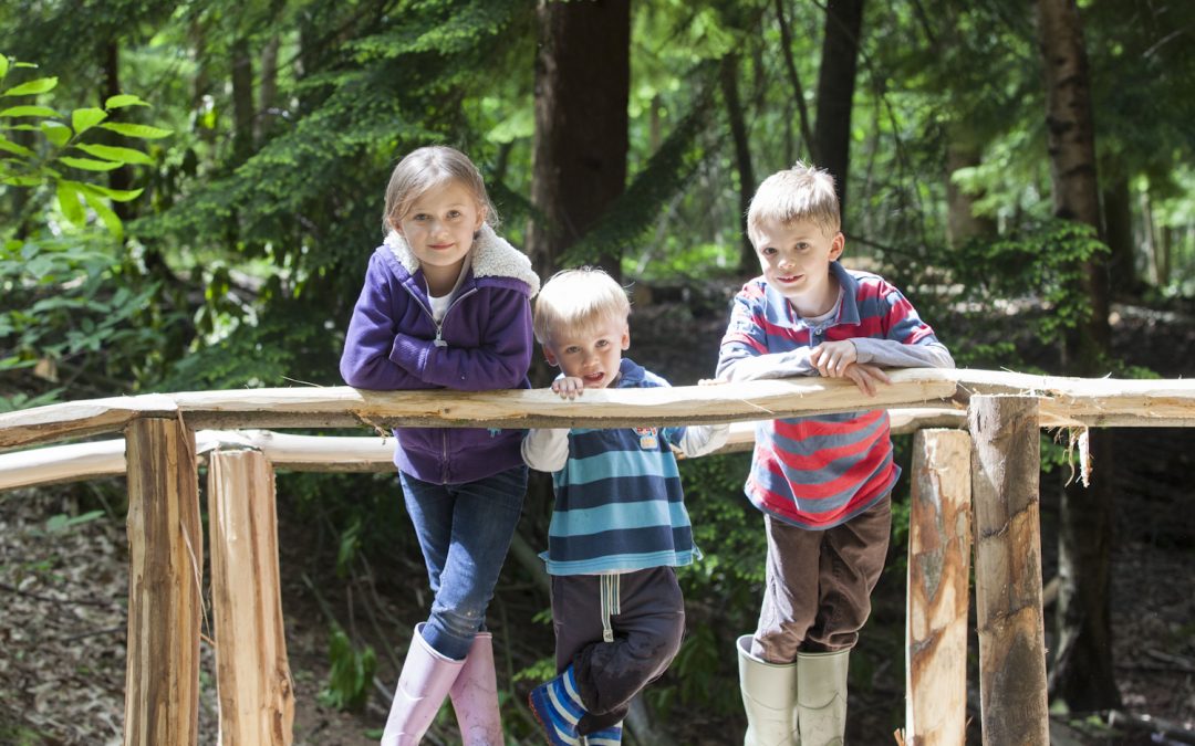 Wilderness Wood Portrait Day
