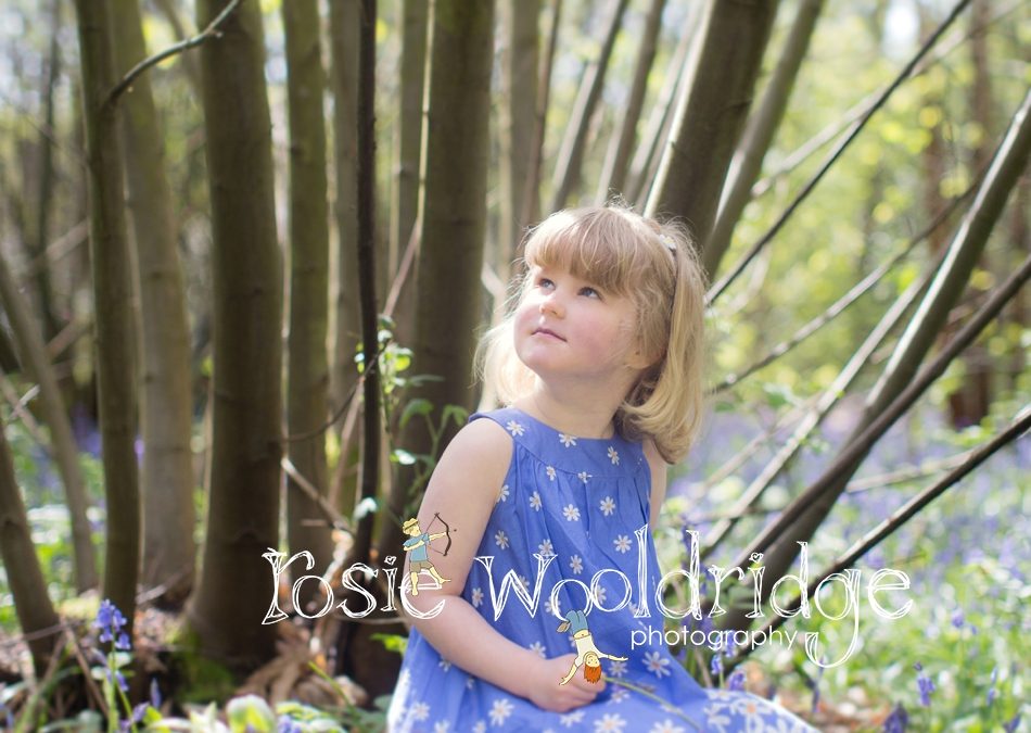 Wilderness Wood Bluebell Shoot 3