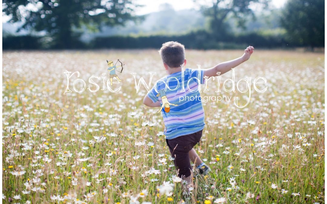 Meadow shoot near Hadlow Down, East Sussex