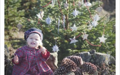 Mollycoddle Christmas Shoot at Wilderness Wood