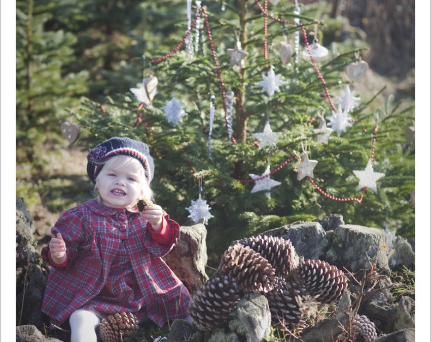 Mollycoddle Christmas Shoot at Wilderness Wood