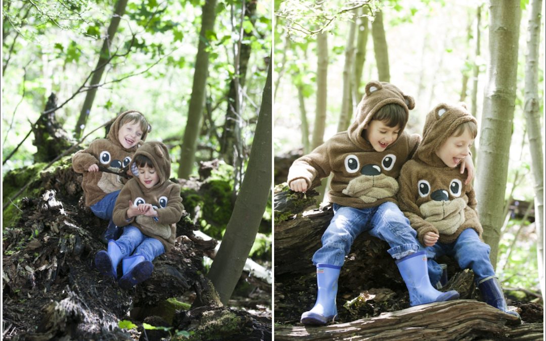 Bluebells shoot at Ditchling Woods