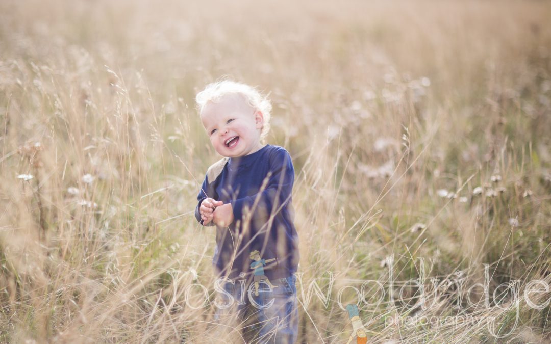 Charlie, Bobby and Lucy at Ovingdean near Brighton