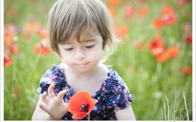 Shoot in the poppy fields